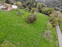 Terreno en venta en Piloña, Piloña photo 0