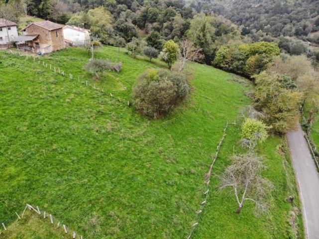 Terreno en venta en Piloña, Piloña photo 0