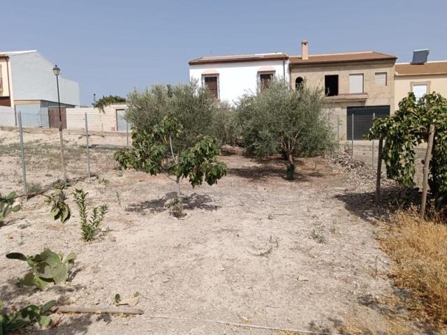 Terreno en venta en Antequera, Zona de la Vega photo 0