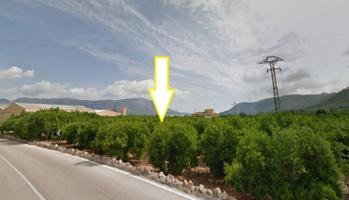 Terreno en venta en Simat de la Valldigna, Benifairó-Simat-Barx photo 0