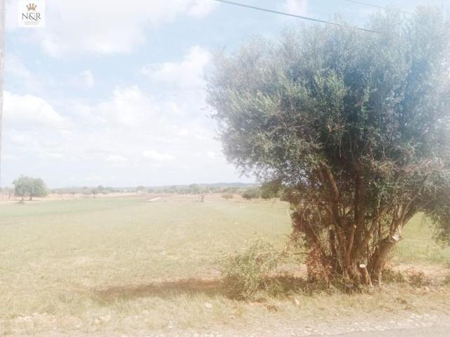 Terreno en venta en Inca, Costitx photo 0