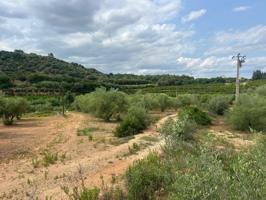 Terreno en venta en Freginals, Cataluna photo 0