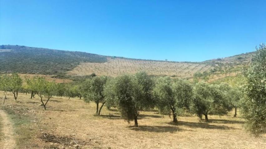 Casa con terreno en venta en Albuñuelas photo 0