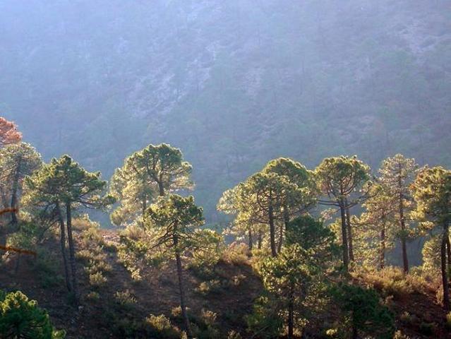 Casa en venta en Benatae, Benatae photo 0