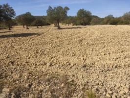 Terreno en venta en Almansa, Los Espetones photo 0