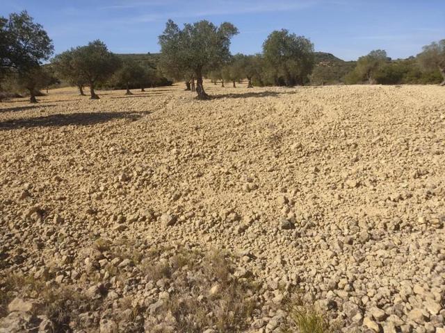 Terreno en venta en Almansa, Los Espetones photo 0