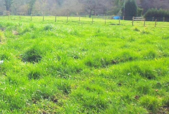 Terreno en venta en Siero, Siero photo 0