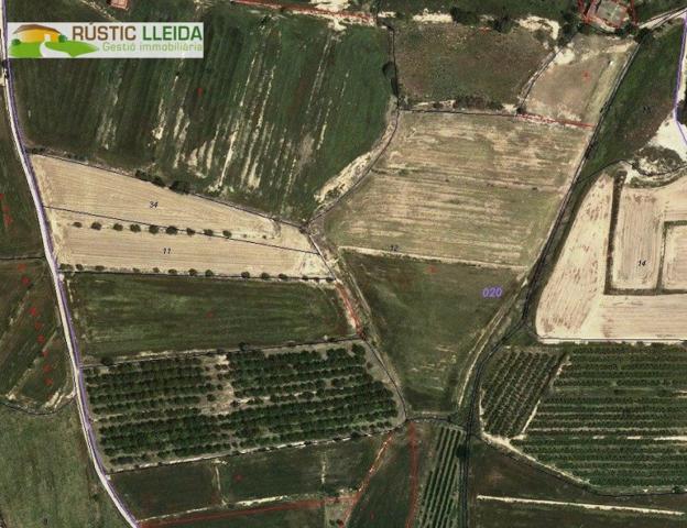 Terreno en venta en Castellserà, Urgell photo 0