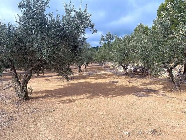 Terreno en venta en el Perelló, Comes, 43519 photo 0