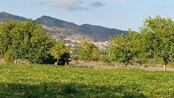 Terreno en venta en Castalla, Ginets photo 0