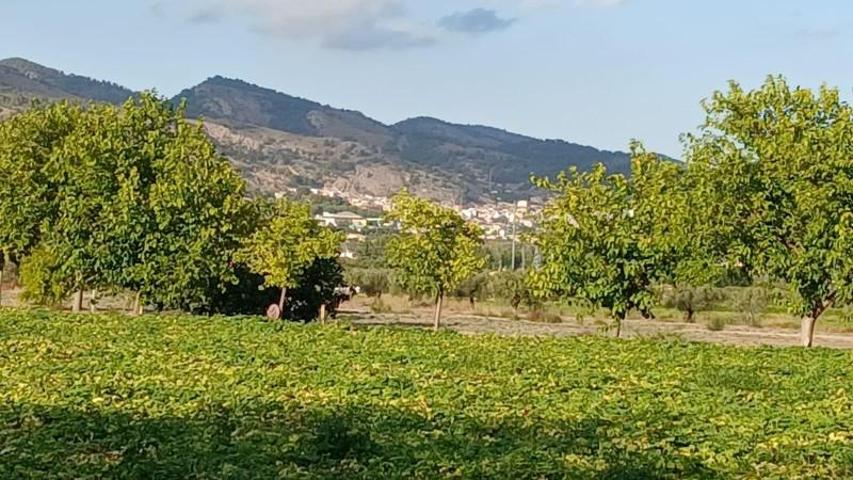 Terreno en venta en Castalla, Ginets photo 0