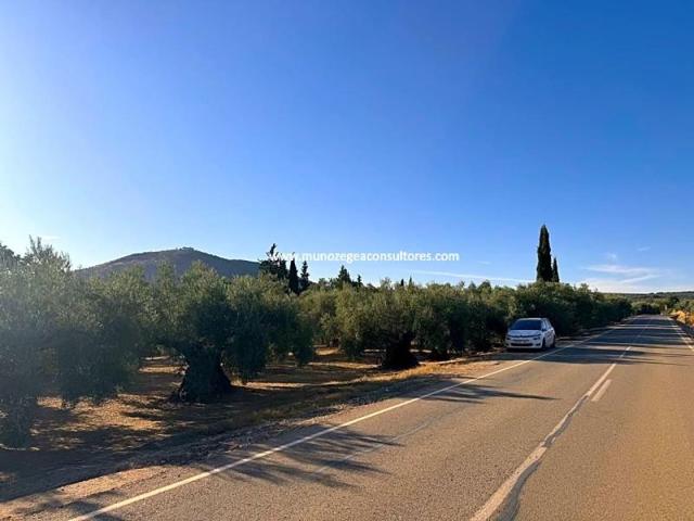 Terreno en venta en Lucena, CAMPO DE ARAS photo 0