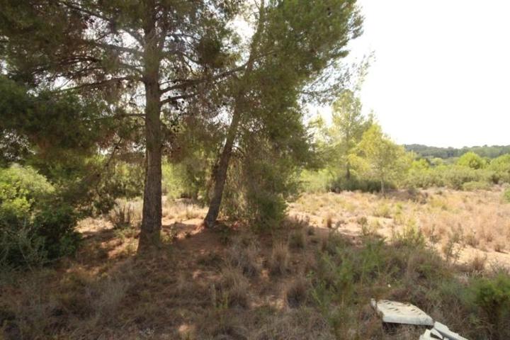 Terreno en venta en Torrent, Masia Pavia photo 0