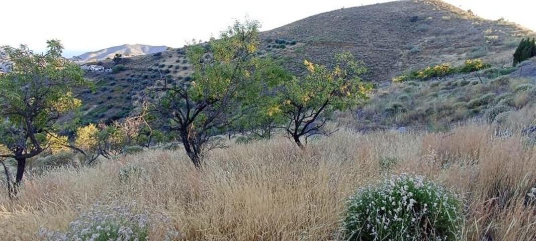 Terreno en venta en Sedella, Sedella photo 0