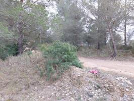 Terreno en venta en la Bisbal del Penedès, La masieta photo 0