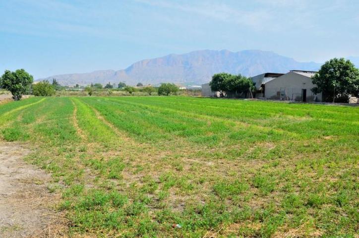 Terreno en venta en Santomera, Siscar photo 0