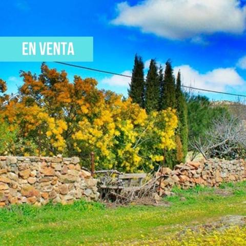 Terreno en venta en Cabezarrubias del Puerto, Cabezarrubias del Puerto photo 0