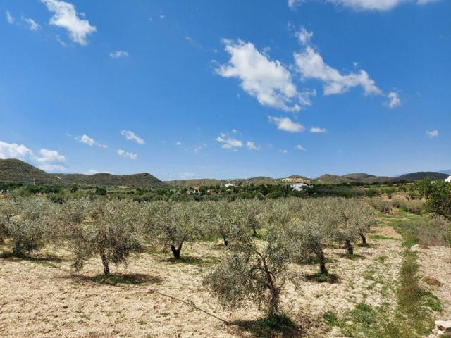 Terreno en venta en Sorbas, Sorbas photo 0