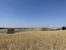 Terreno en venta en Las Cabezas de San Juan, ZONA CERRO BENACAZON photo 0