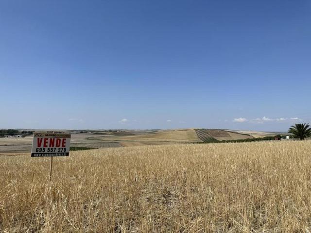 Terreno en venta en Las Cabezas de San Juan, ZONA CERRO BENACAZON photo 0