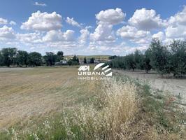 Terreno en venta en Lucena, CL R-ES-3, 14900 photo 0