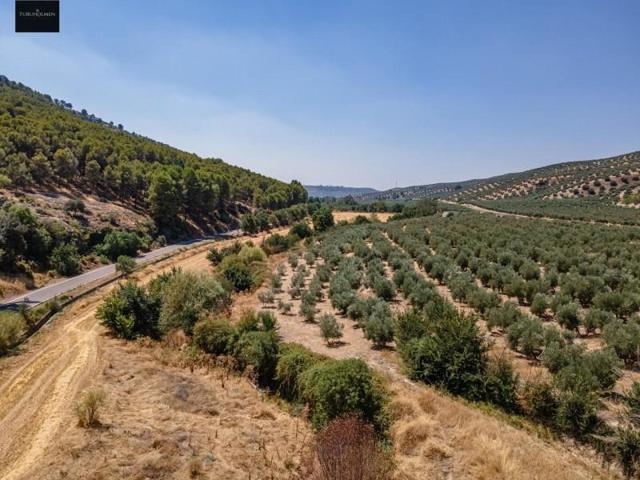 Terreno en venta en Deifontes, Nacimiento photo 0