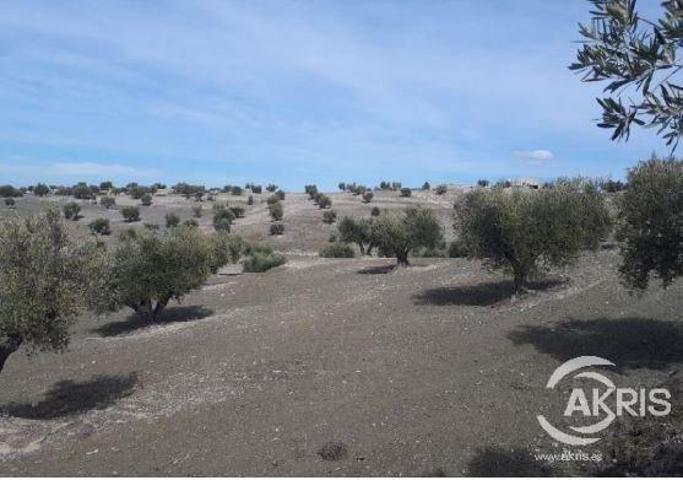 Terreno en venta en Alameda de la Sagra photo 0