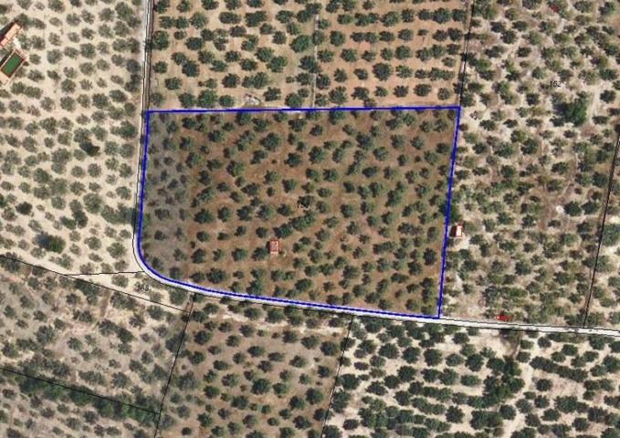 Terreno en venta en Roquetes, Les parellades photo 0