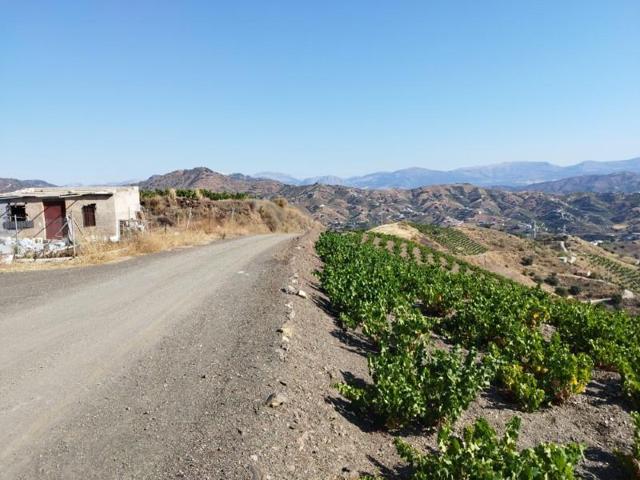 Casa con terreno en venta en Almáchar photo 0
