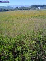 Terreno en venta en Cubillos del Sil, Northern spain photo 0