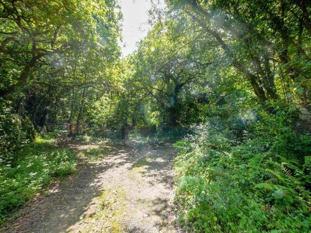 Terreno en venta en Isla, Costa de cantabria photo 0