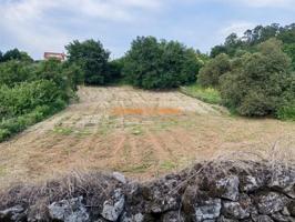 Terreno en venta en Pazos de Borbén, Xunqueiras photo 0