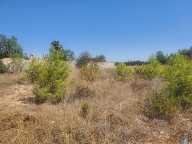 Terreno en venta en Valencia, Calle los Naranjos, 46380 photo 0