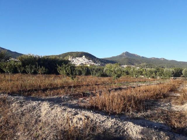 Terreno en venta en Moratalla photo 0