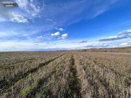 Terreno en venta en Casarrubios del Monte, Castilla la mancha photo 0