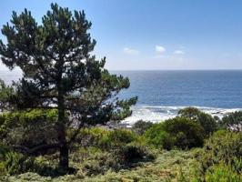 Terreno en venta en Oia, Oia photo 0