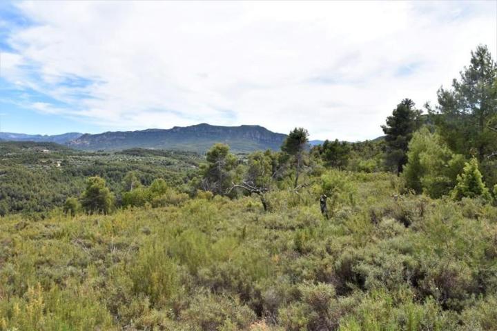 Chalet en venta en Valderrobres, Valderrobres photo 0