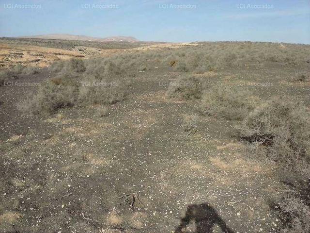 Terreno en venta en Guatiza, Guatiza photo 0