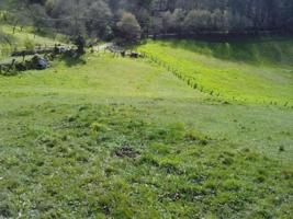 Terreno en venta en Grado, Grado photo 0