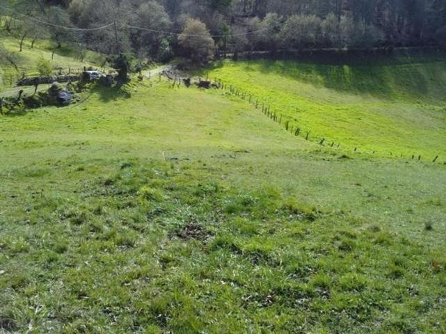 Terreno en venta en Grado, Grado photo 0