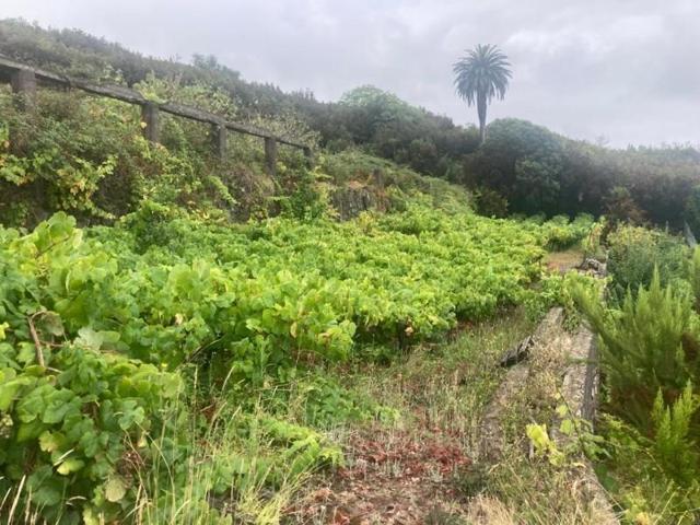 Terreno en venta en Santa Úrsula, EL CALLEJON, 38390 photo 0