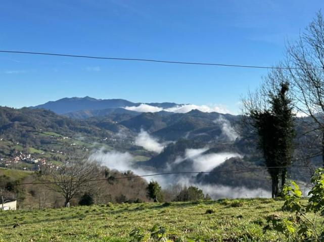 Terreno en venta en Cabranes, Cabranes photo 0