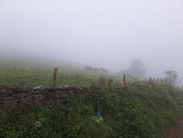 Terreno en venta en Solórzano, Solorzano photo 0