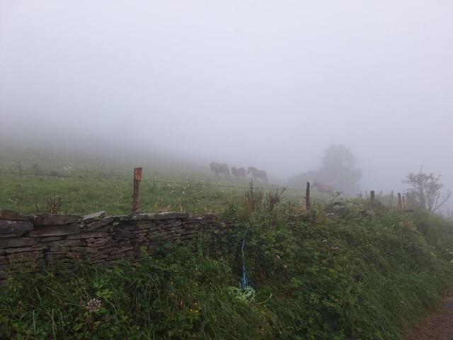 Terreno en venta en Solórzano, Solorzano photo 0