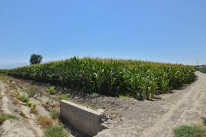 Chalet en venta en Belicena, POLIDEPORTIVO photo 0