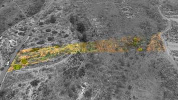 Terreno en venta en Fasnia, Islas canarias photo 0
