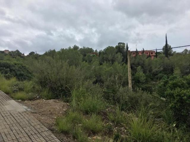 Terreno en venta en Olivella, Mas Mestre photo 0