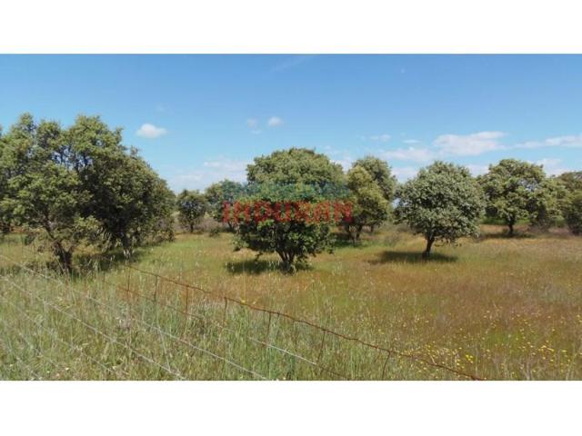 Chalet en venta en Peraleda de la Mata photo 0