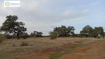 Terreno en venta en Castillo de las Guardas, Arroyo de la plata photo 0