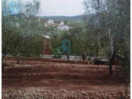 Terreno en venta en la Bisbal del Penedès photo 0